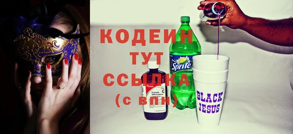 эйфоретик Няндома