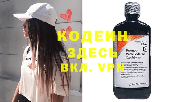 эйфоретик Няндома