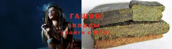 эйфоретик Няндома