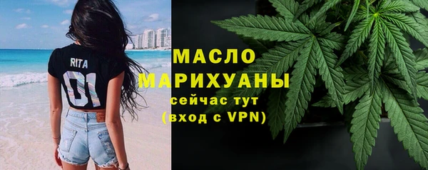 эйфоретик Няндома