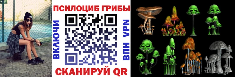 Купить где  Медногорск  Галлюциногенные грибы Cubensis 